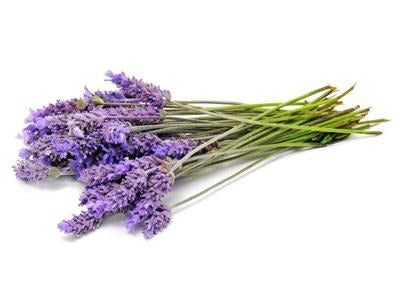 Grapefruit & Lavender Oil Conditioner