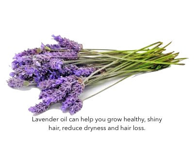 Orange Peel & Lavender Oil Detangling Sheen